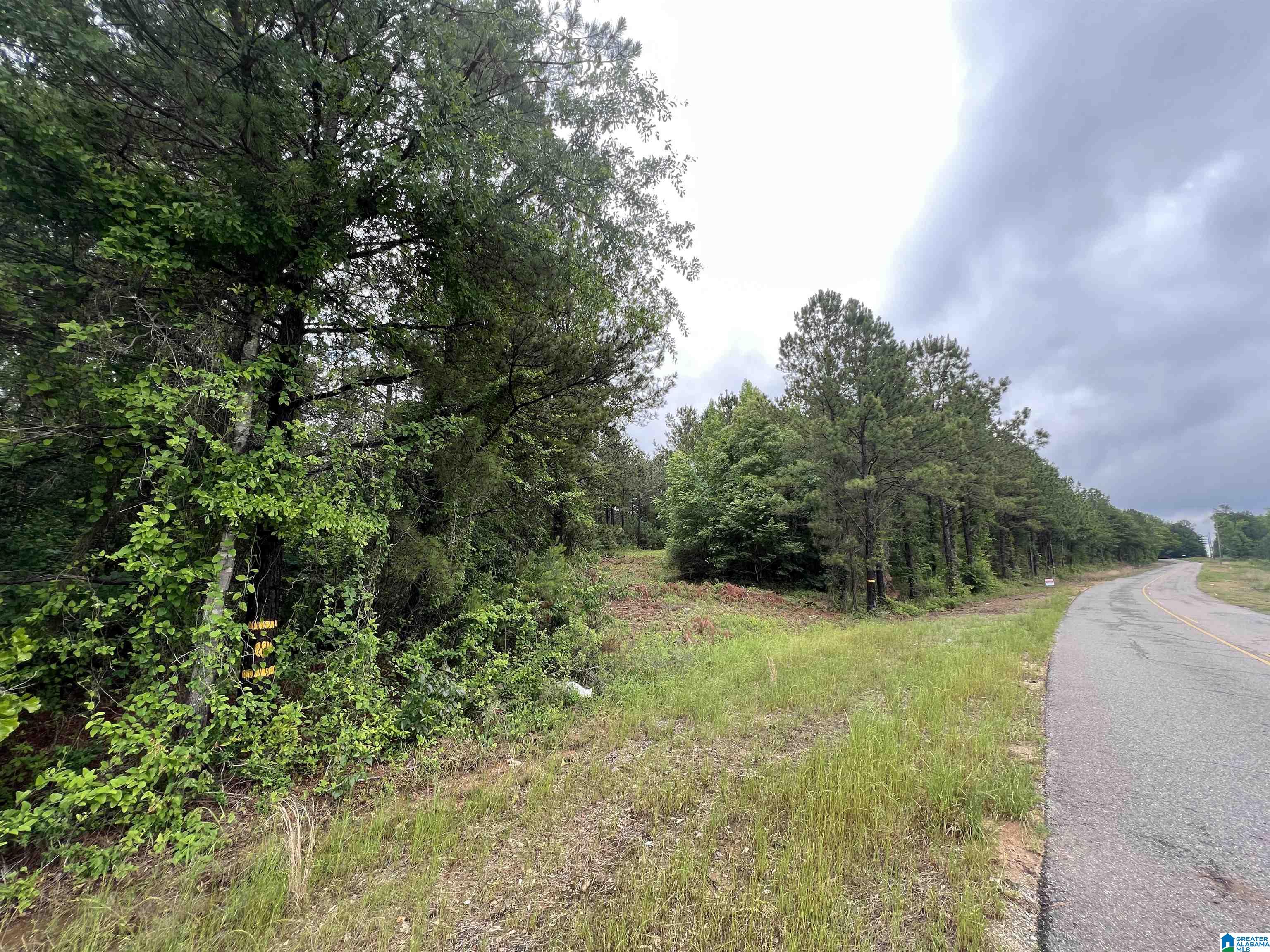 Bama Rock Garden, Vance, AL 35478 MLS 21363363 Listing Information