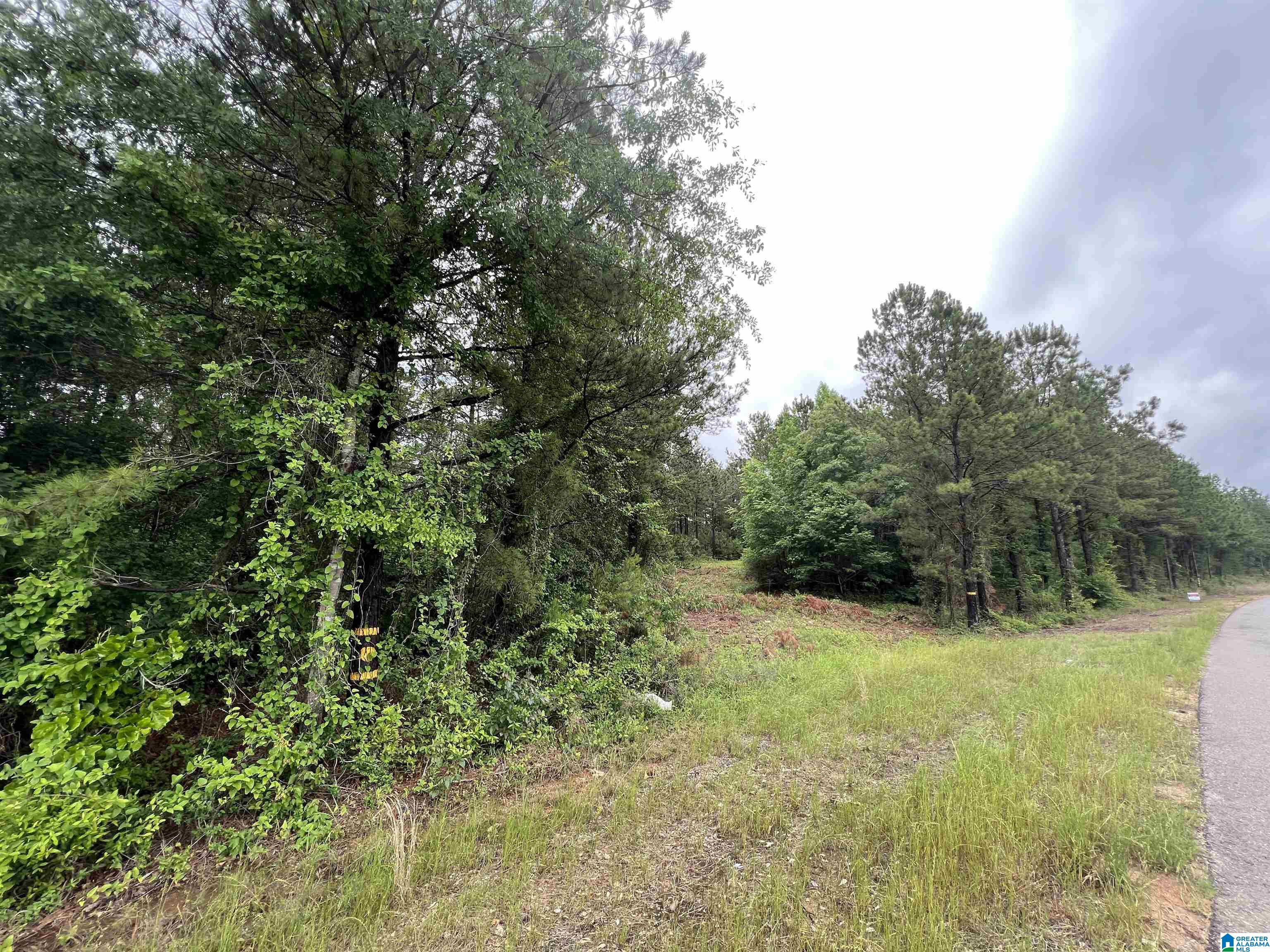 Bama Rock Garden, Vance, AL 35478 MLS 21363363 Listing Information