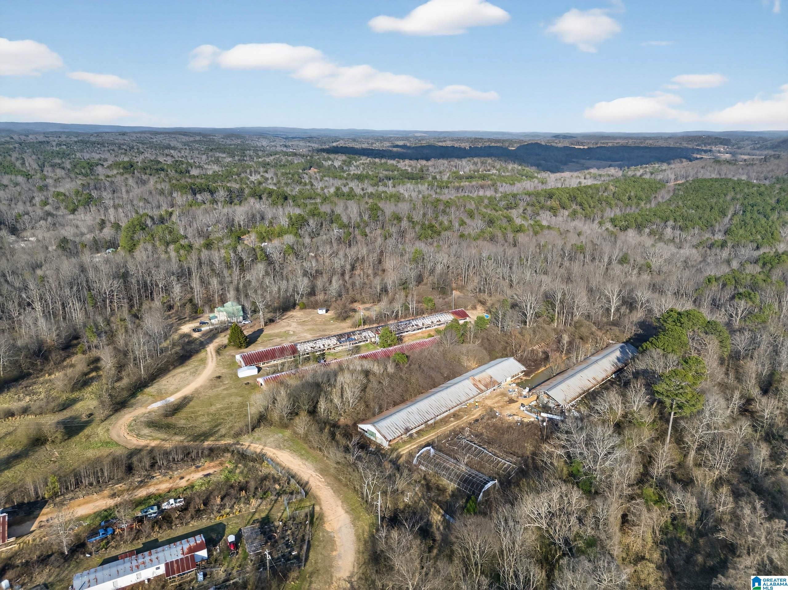 235 Graham Road, Pell City, AL 35125 | MLS 21443400 | Listing ...
