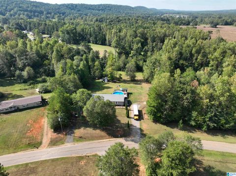 321 Friendship Road, Springville, AL 35146 - MLS#: 21397401