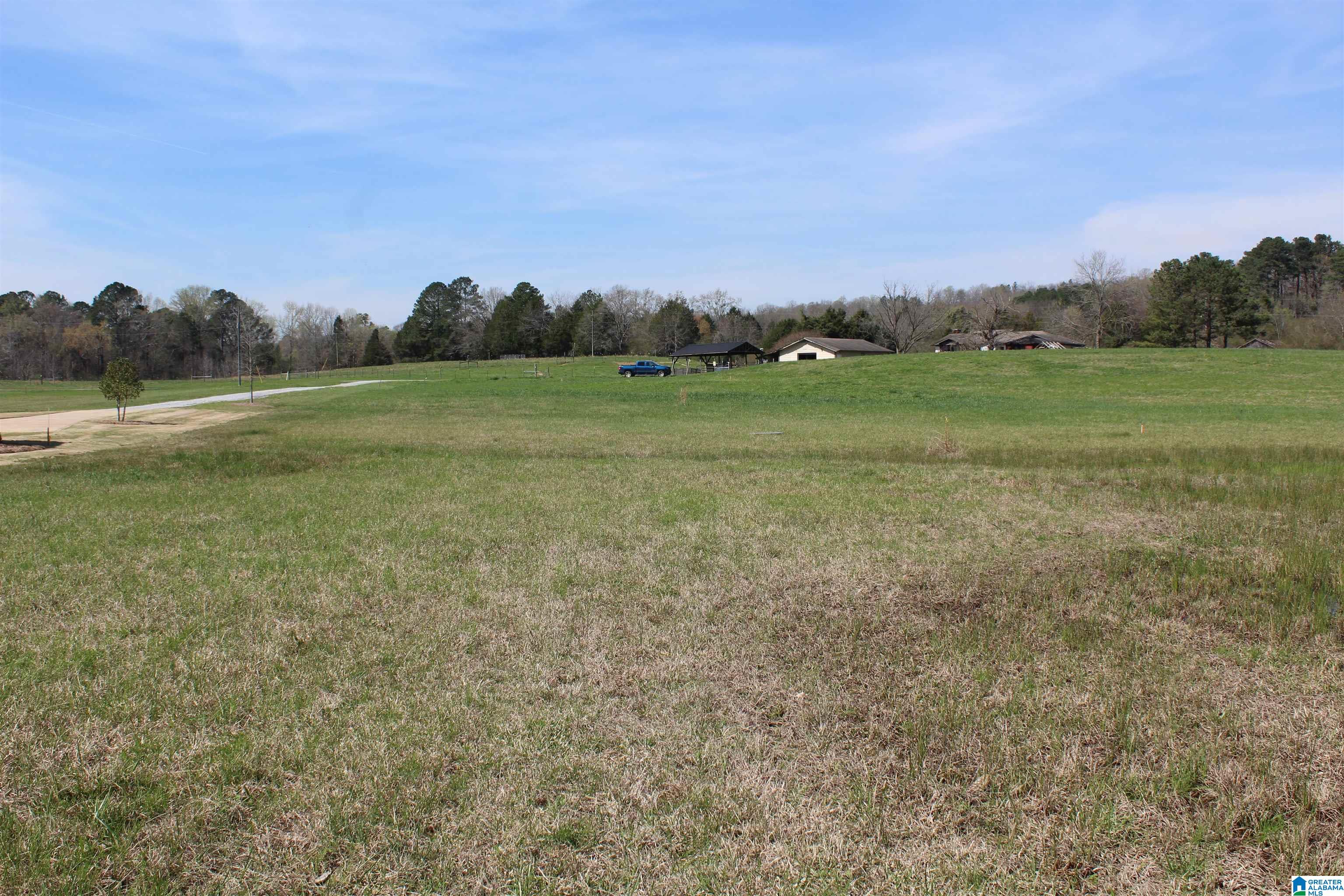Greensport Road, Ashville, AL 35953 MLS 1348014 Listing Information