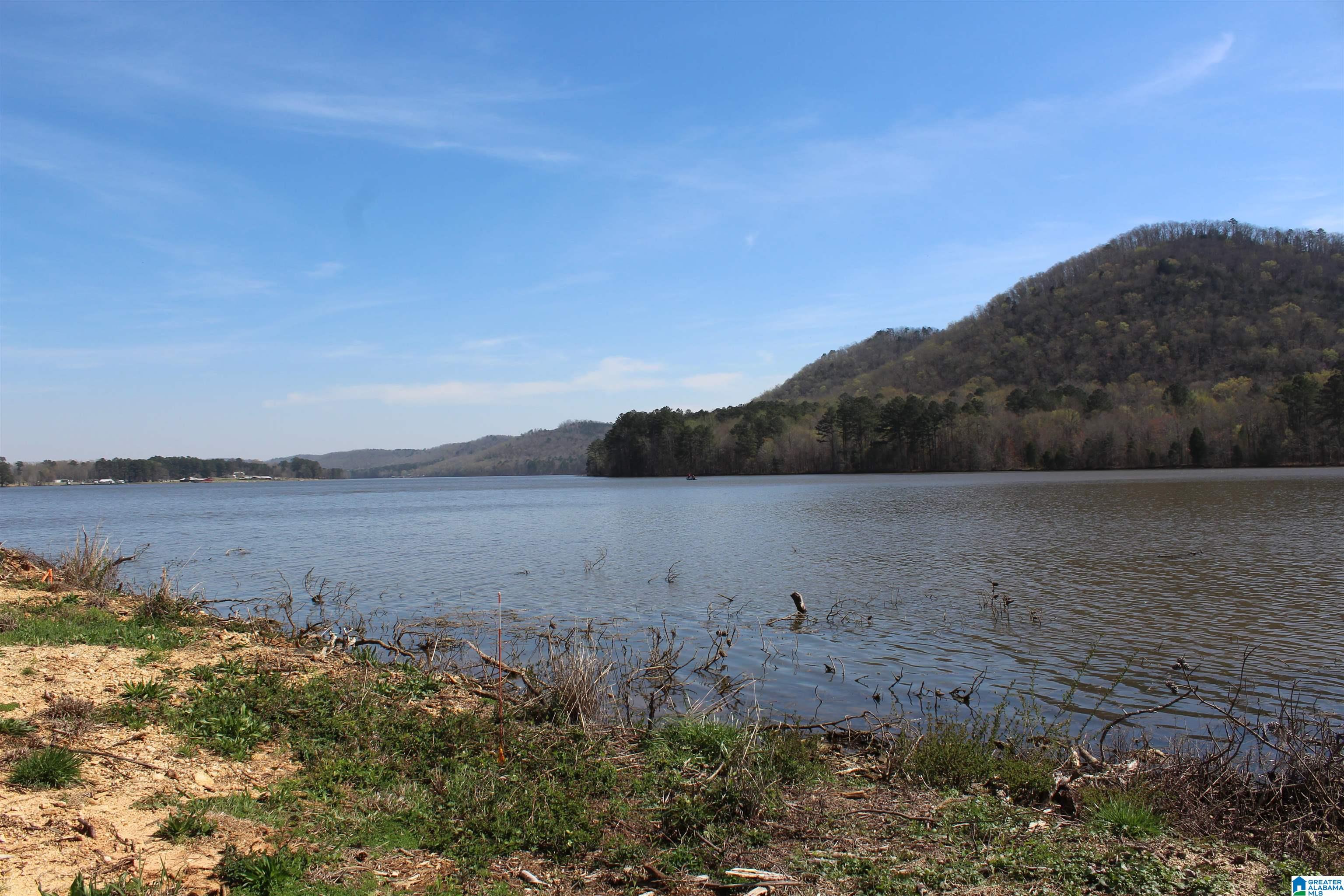 Greensport Road, Ashville, AL 35953 MLS 1348014 Listing Information