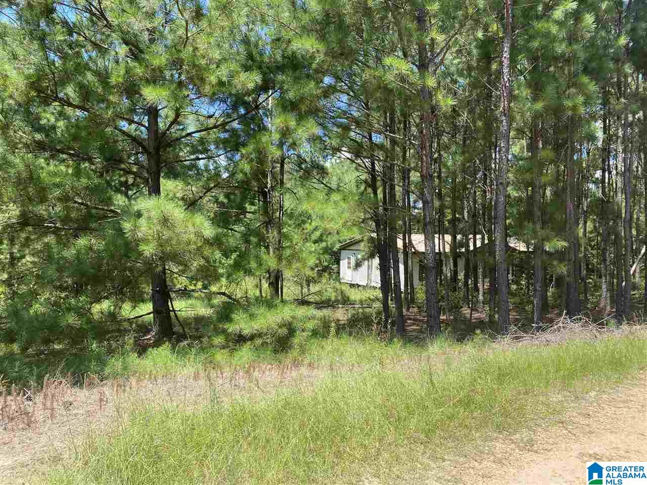 County Road 1049, Maplesville, AL 36750 | MLS 1295567 | Listing ...