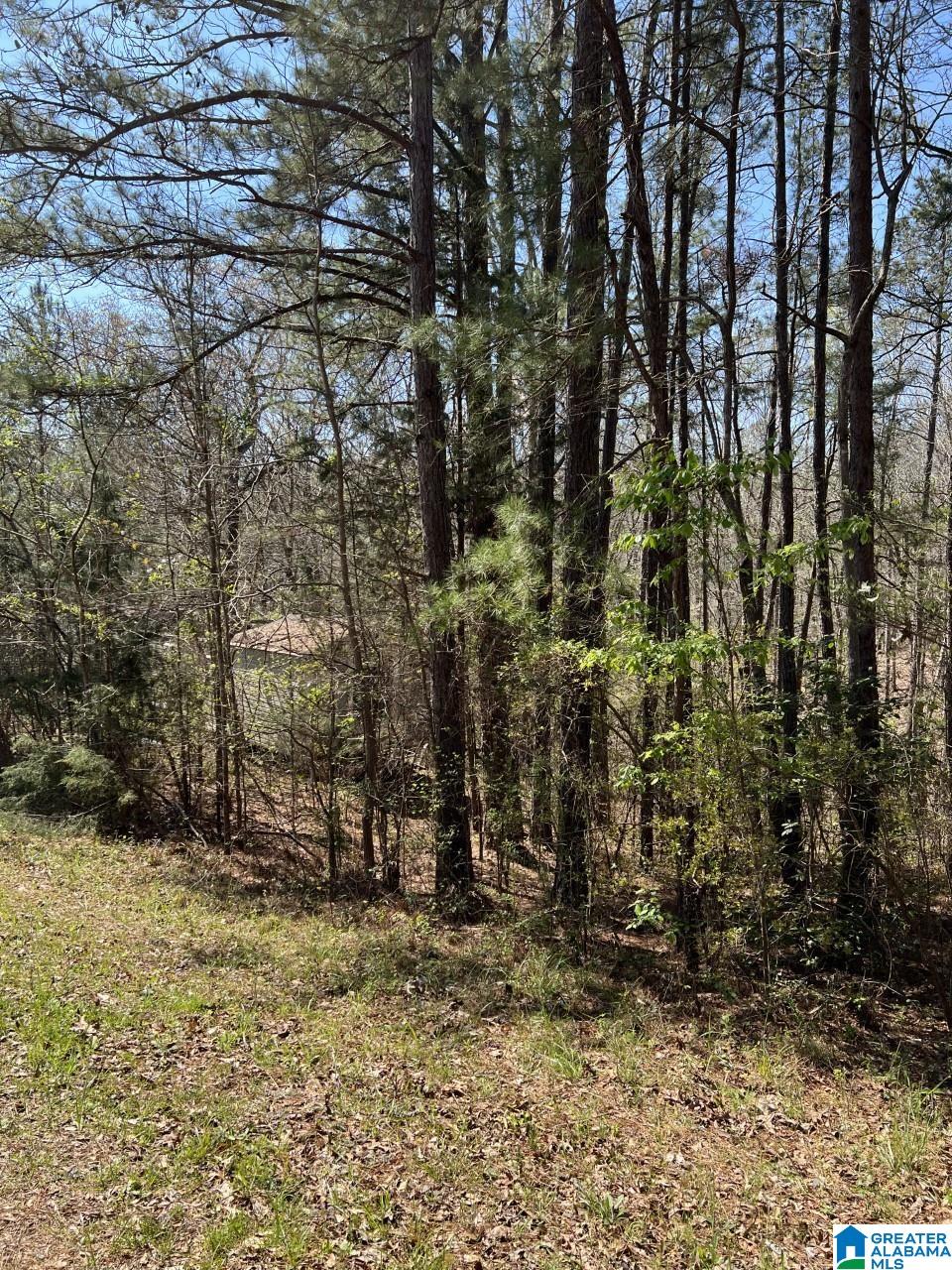 County Road 551, Verbena, AL 36091 | MLS 1348734 | Listing Information ...