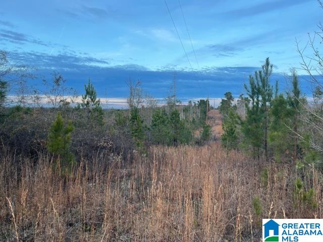 4490 County Road 156, Roanoke, AL 36274 | MLS 21374679 | Listing ...