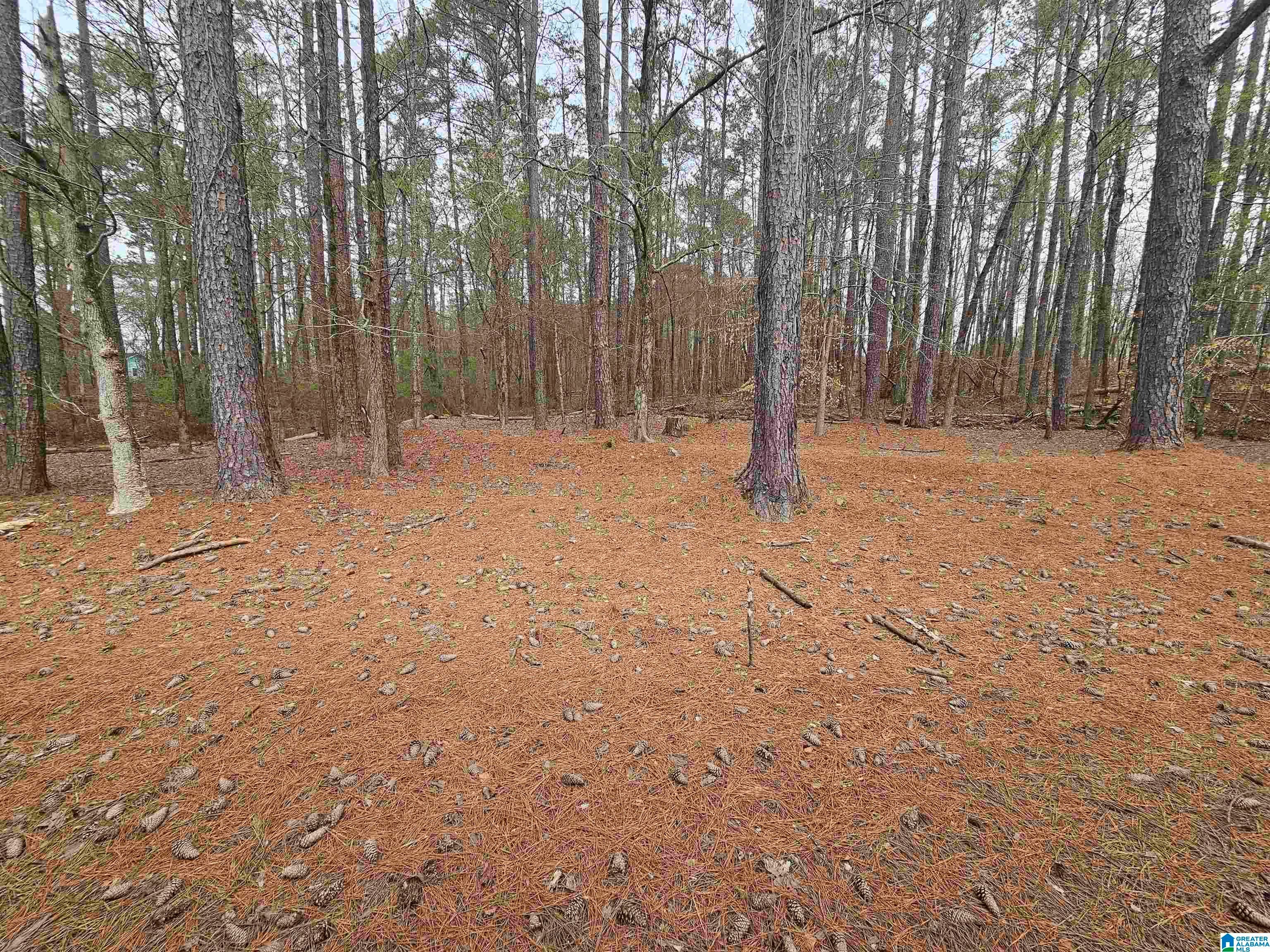 2176 Old Hayden Road, Warrior, AL 35180 | MLS 21447000 | Listing ...
