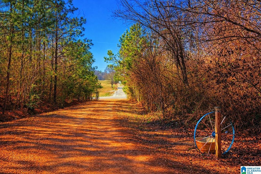 7607 Highway 431, Heflin, AL 36264 | MLS 21442698 | Listing