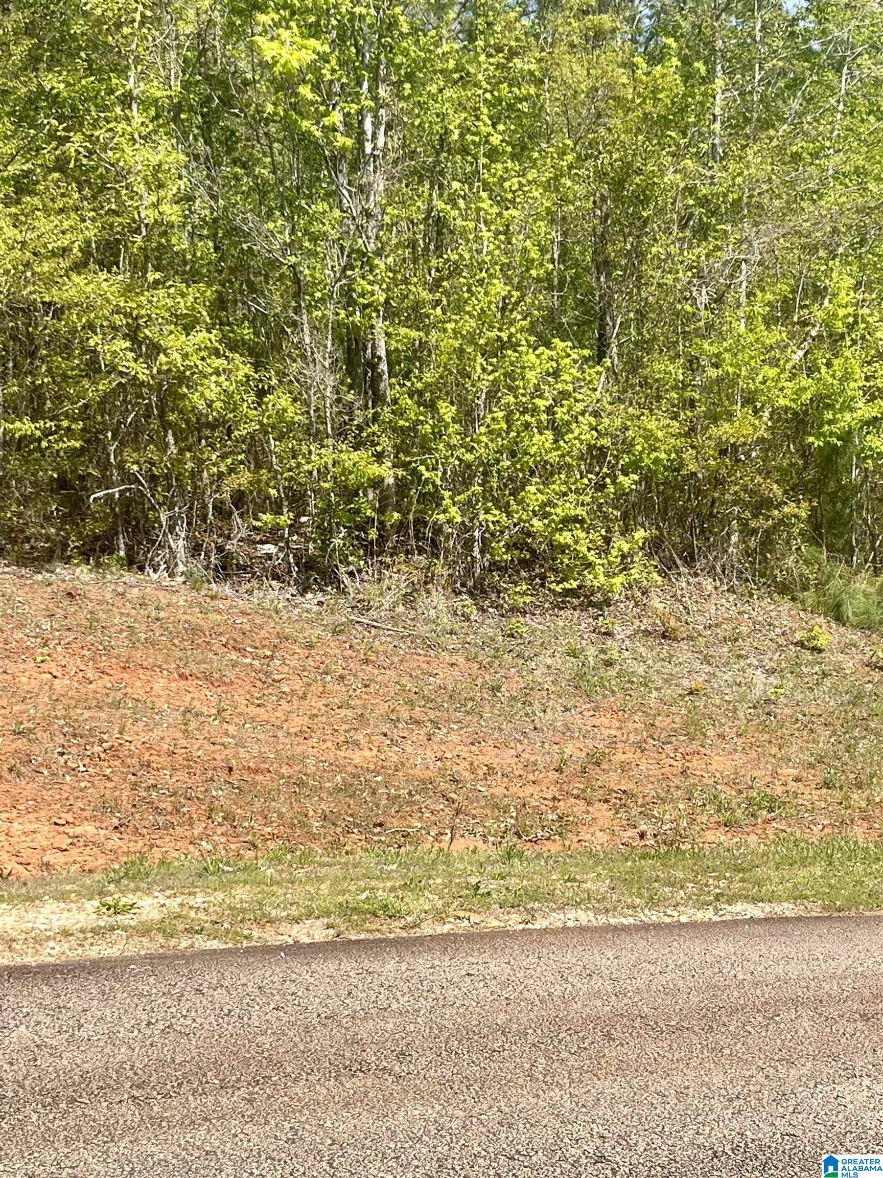 Lot 32 13th Court Lanett Al 36863 Mls 21382081 Listing Information Greater Alabama Mls 8641