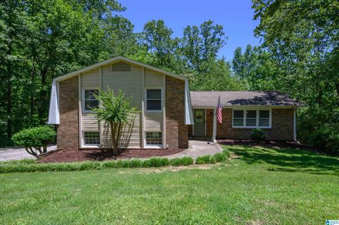4669 Burning Tree Lane, Pelham, AL 35124 - MLS#: 21419288