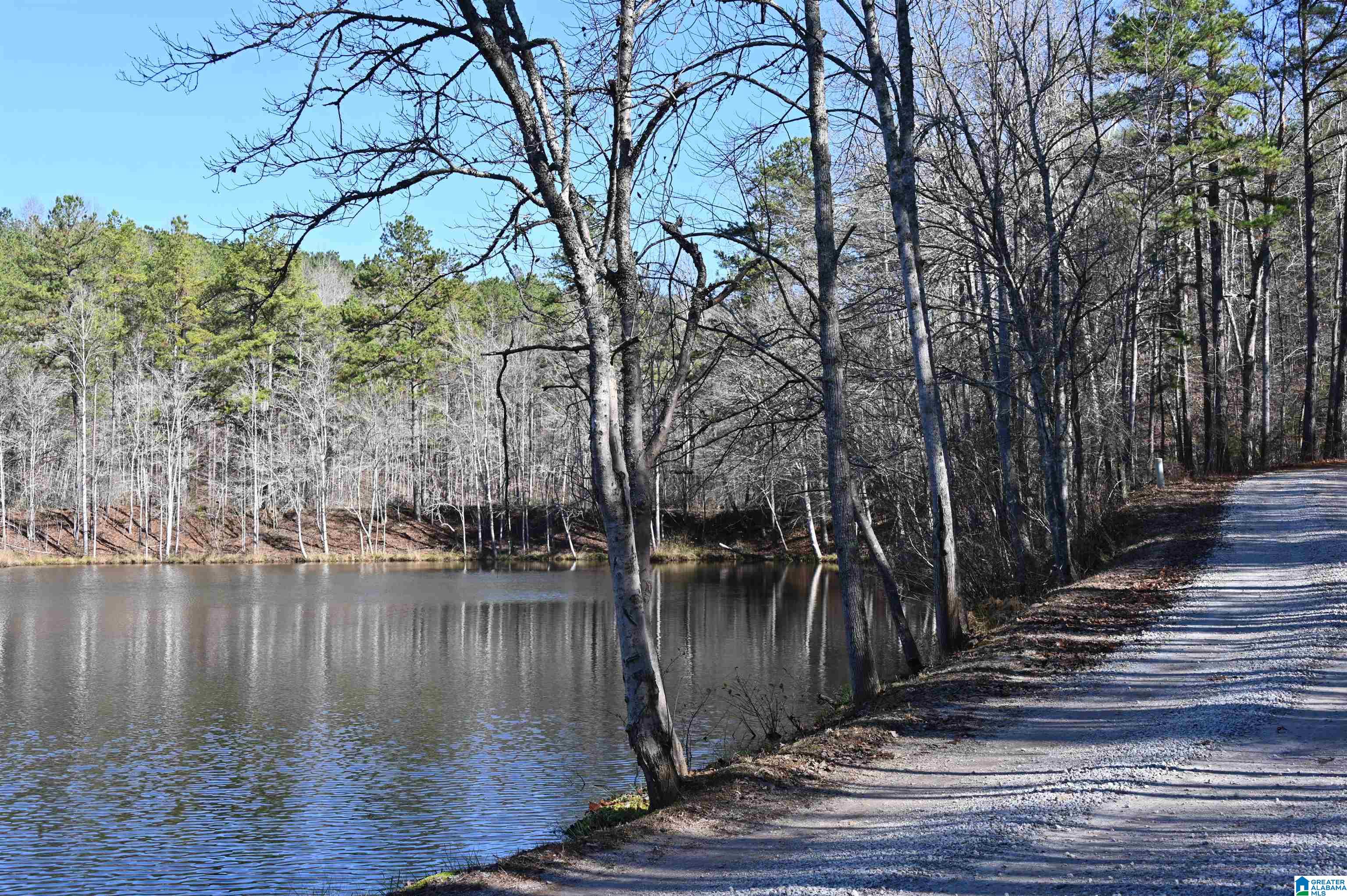 Woodgate Shores Drive, Wedowee, AL 36278 MLS 1307892 Listing