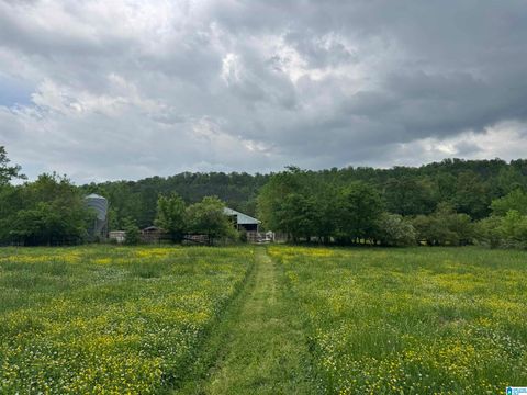1045A Sand Valley Road, Remlap, AL 35133 - MLS#: 21415572
