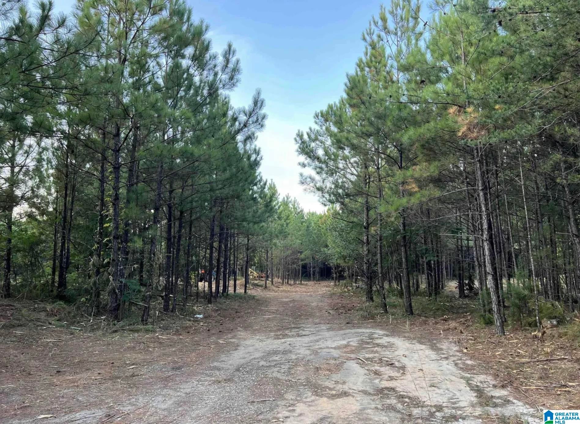 2210 Sweeney Hollow Road, Clay, AL 35215 | MLS 21435536 | Listing ...