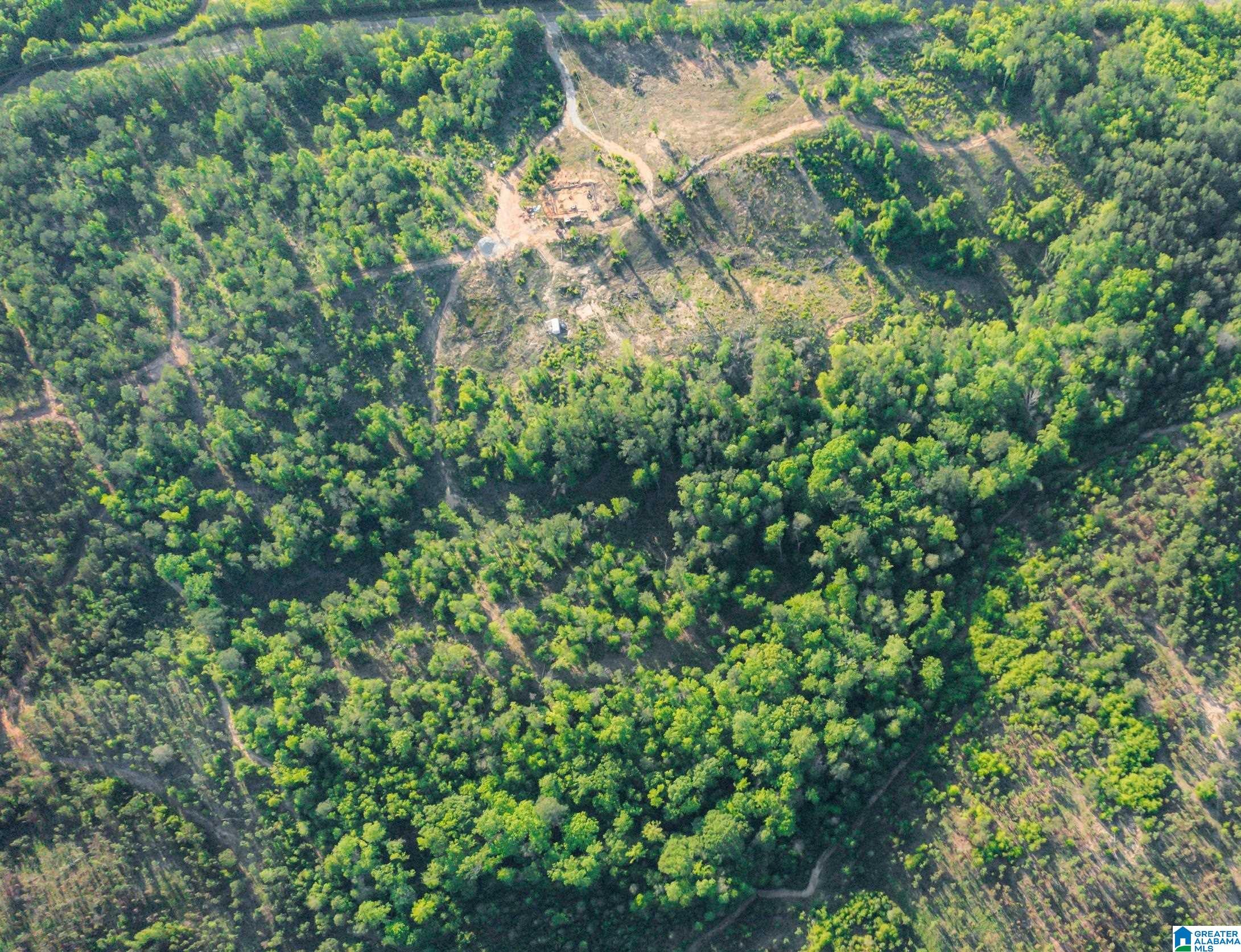 18805 County Road 16, Plantersville, AL 36758 MLS 21385856 Listing