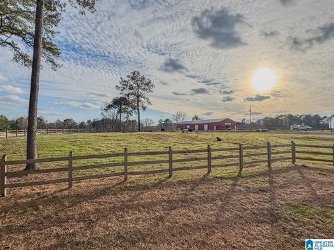 10450 Thermal Road, Trafford, AL 35172 - MLS#: 21406979