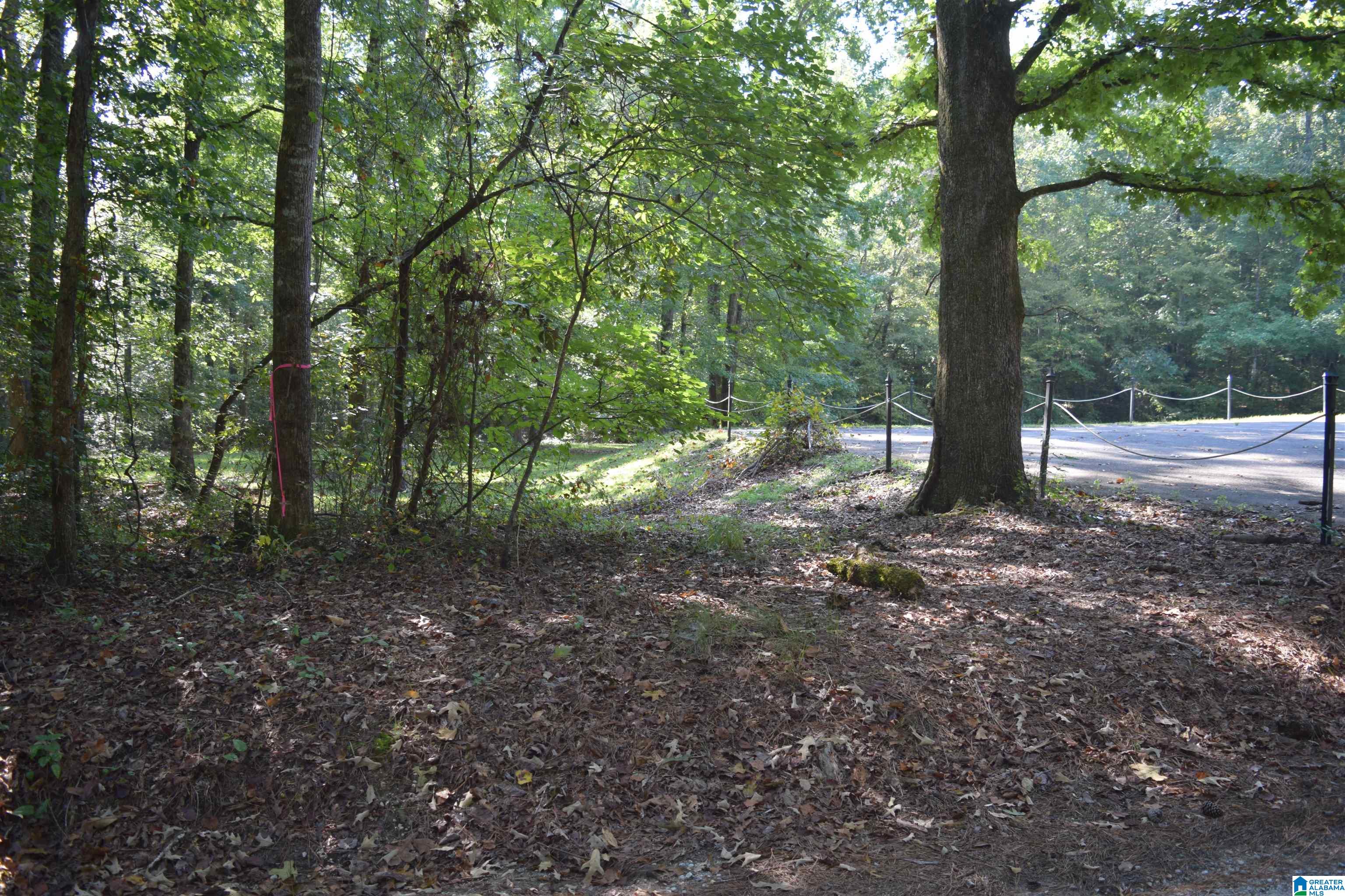 Camp Branch Road, West Blocton, AL 35184 MLS 1336019 Listing