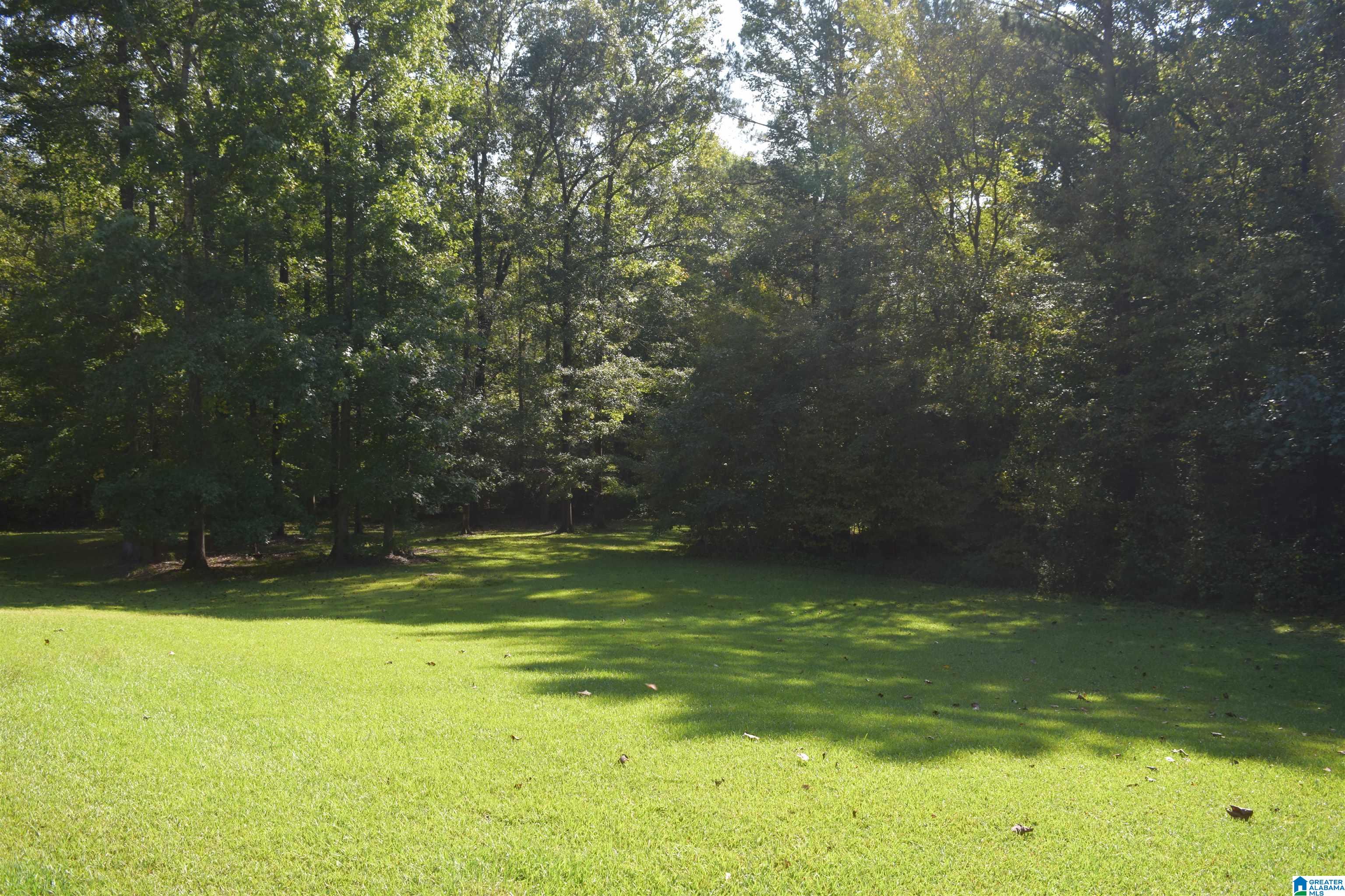 Camp Branch Road, West Blocton, AL 35184 MLS 1336019 Listing