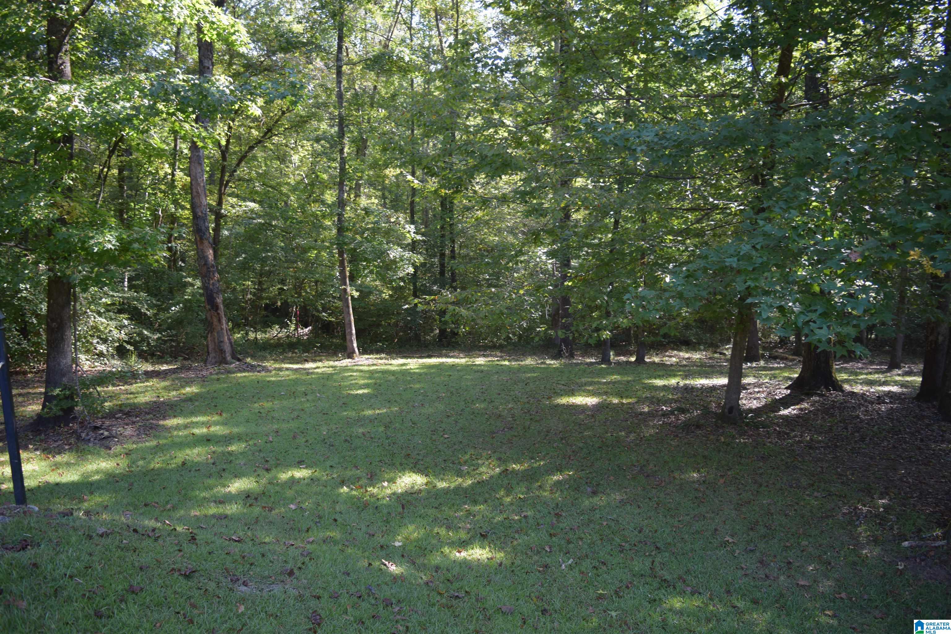 Camp Branch Road, West Blocton, AL 35184 MLS 1336019 Listing