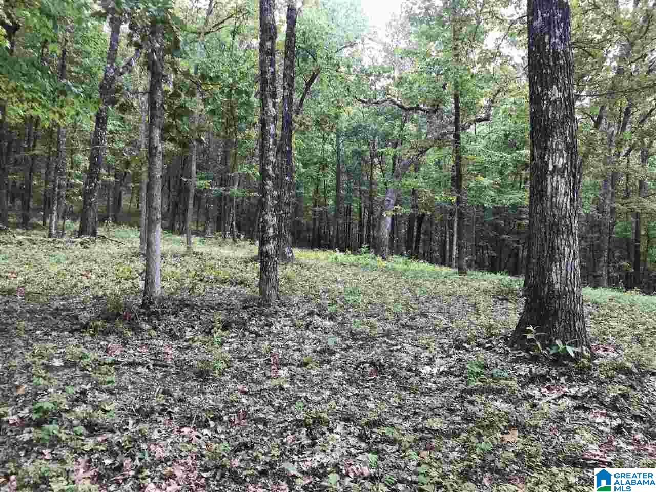 400 Stonegate Drive, Birmingham, AL 35242 MLS 1322536 Listing