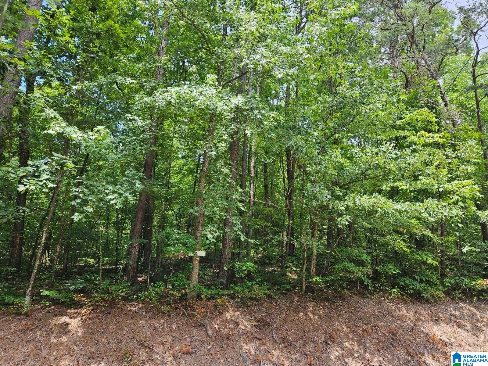 4464 Shady Grove Road, Gardendale, AL 35071 MLS 1362080 Listing