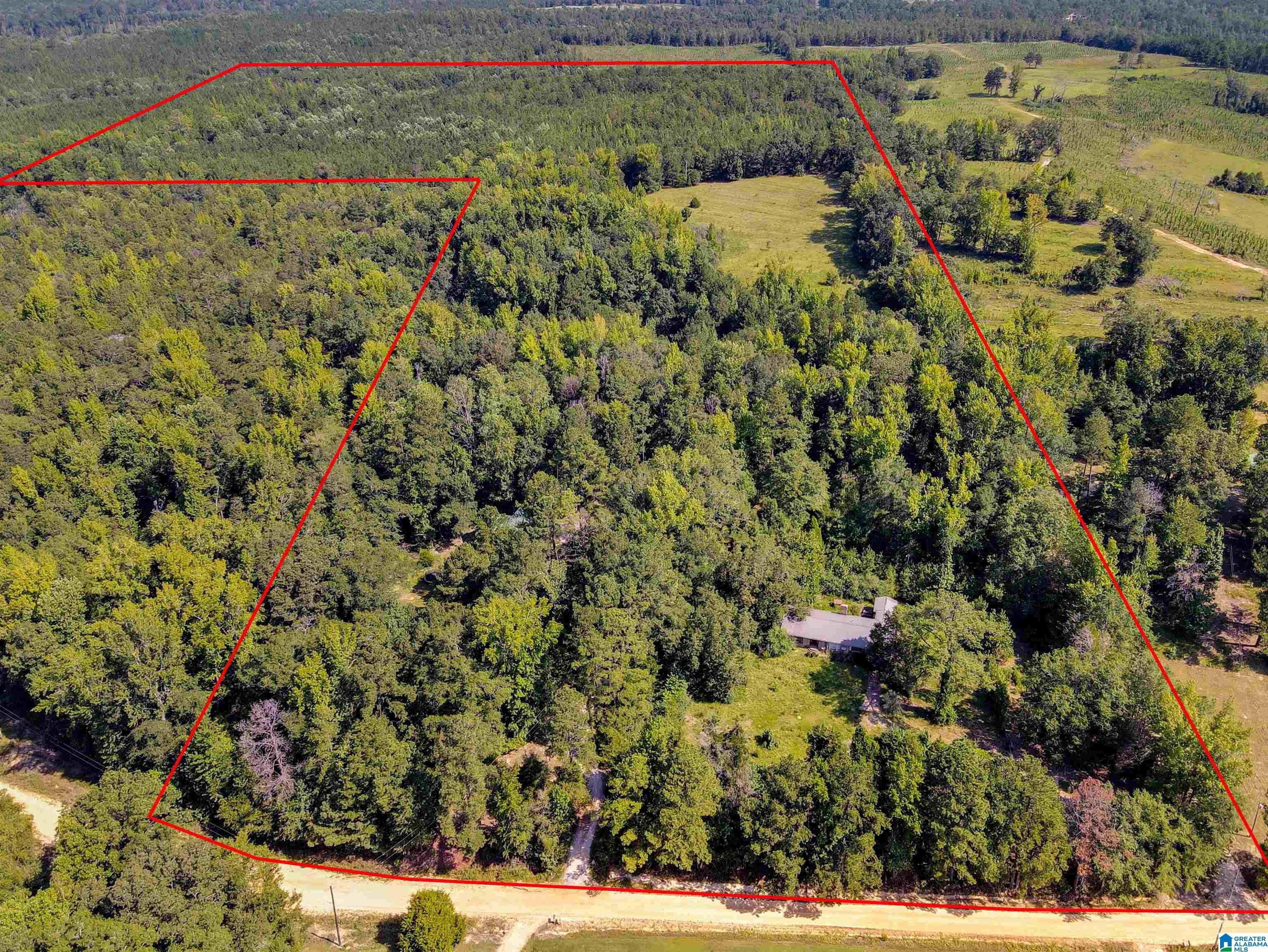 2164 County Road 350, Clanton, AL 35045 | MLS 21395511 | Listing ...