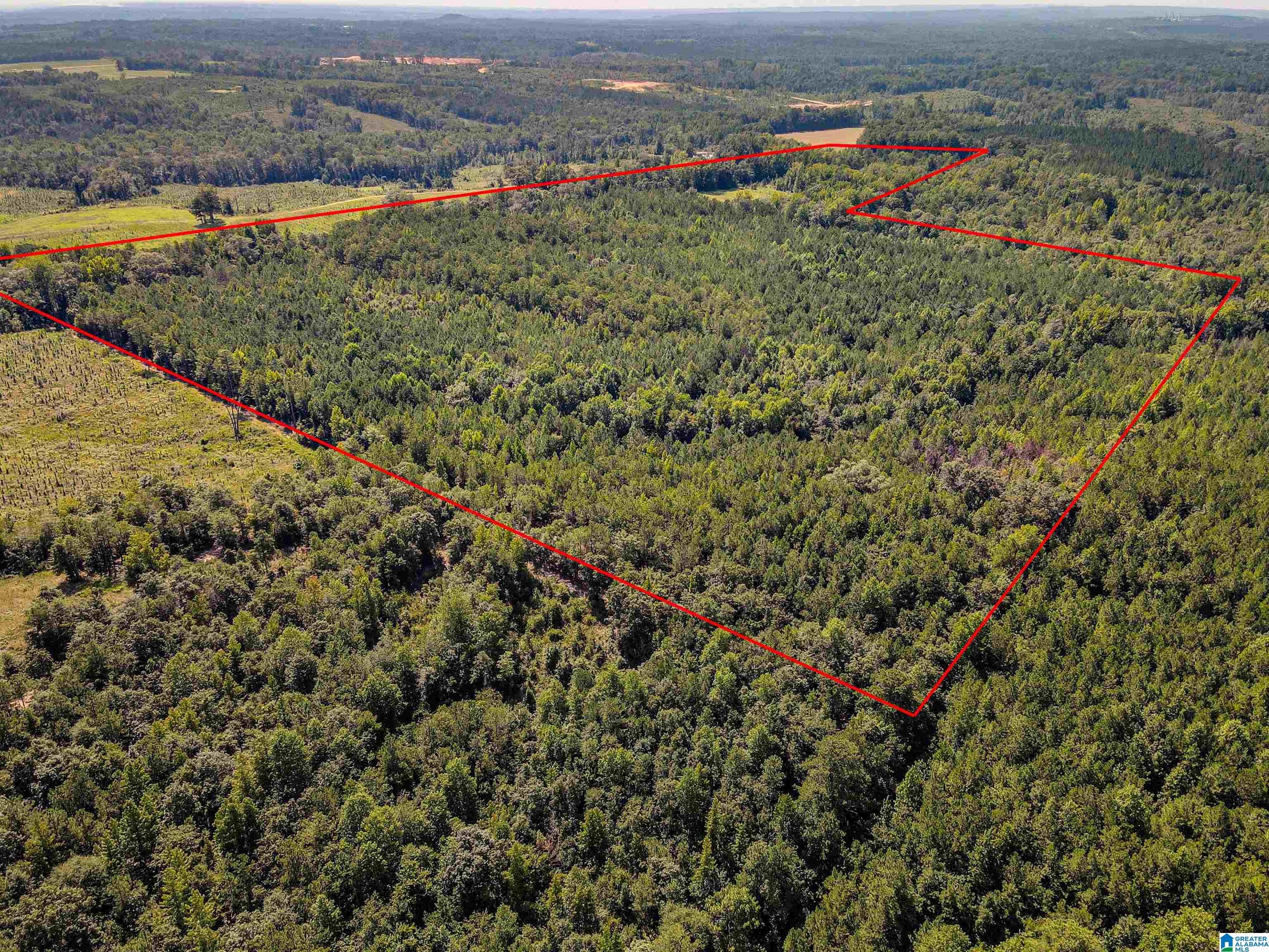 2164 County Road 350, Clanton, AL 35045 | MLS 21395511 | Listing ...