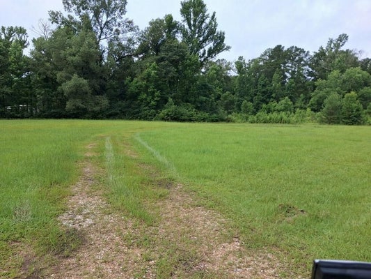 1307 BRINKS LN, BALL, LA 71405 - Image 008eb2e7fb7633f494d249e9cc80bbe3/3556248565