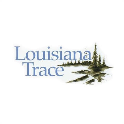 LOT 8 DOGWOOD DRIVE, KENNER, LA 70065 - Image 0d27ad734dbf0cb19634749cfaeefe3e/1782017591