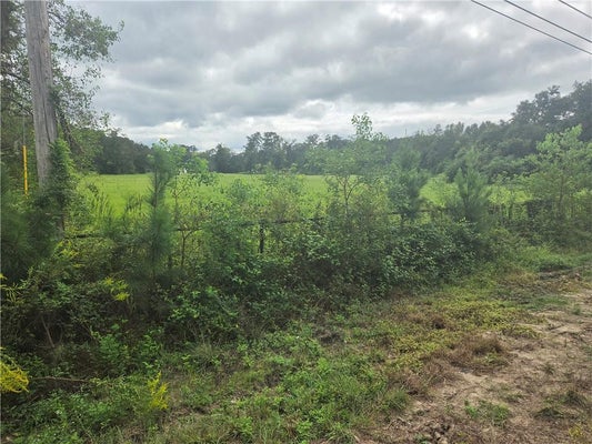 HIGHWAY 442, TICKFAW, LA 70466 - Image 1ee67ef2aebf90508bb207e6f85f253b/3980622459