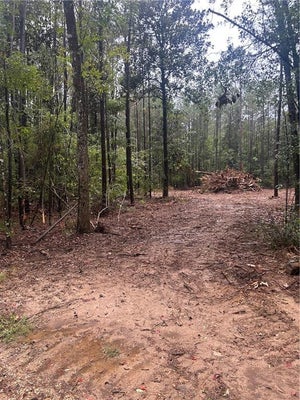 TBD BENNETT ROAD, INDEPENDENCE, LA 70443 - Image 210d769fb09efbb6e73de33ebc3cbeb9/1307829697