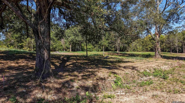 5015 SUNNYBROOK DR DR, BATON ROUGE, LA 70814 - Image 32b3c488f165f0e2d864da653bcd3beb/323697025