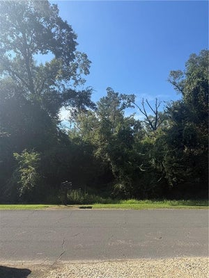 TBD CHOCTAW DRIVE, TICKFAW, LA 70466 - Image 3d19a9bfc13ffa74e79d80b2c3c4ea82/4174121700