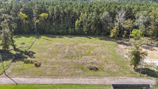9950 MAURIEL LN LN, ST. GEORGE, LA 70817 - Image 41bace1e15ec2eb7379dbfabec6192a2/3691162663