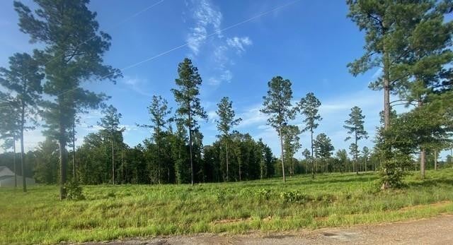 Photo 1 of 1 — W TEEKEL Road, Boyce, LA 71409