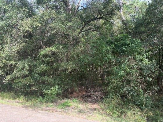 0 SUNRISE LAKE DRIVE, LACOMBE, LA 70445 - Image 44da4f4f7bf424ea2b66227a77e5d67d/158360548