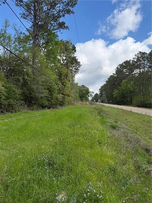 50031 HIGHWAY 1065, TICKFAW, LA 70466 - Image 4adcd3cbb121c985cec3c3dd149e3c8b/154901615