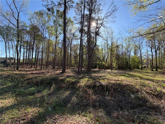 TBD 3.32 ACRES TATOO ROAD, GLENMORA, LA 71433 - Image 5a78ab00b60d9be5b00f044eb03f15e3/323572384