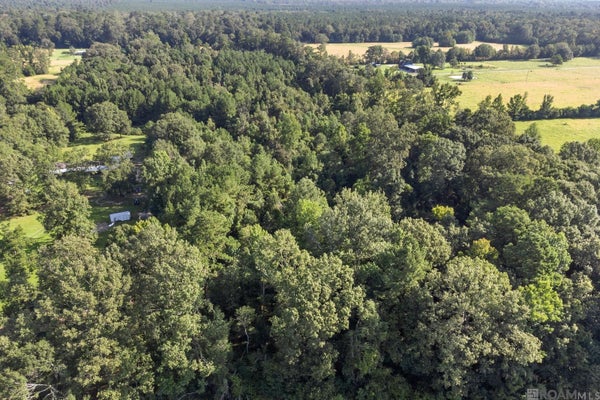 TBD PORT HUDSON PRIDE RD, PRIDE, LA 70770 - Image 60e425d09e509d764baf90ce9beaa4d2/714341833