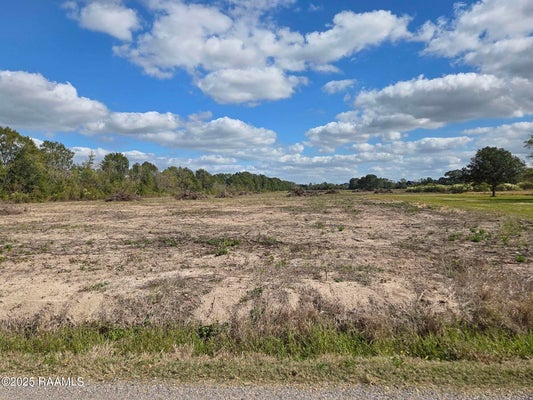 TBD RUE NOVEMBRE, SCOTT, LA 70583 - Image 6a02ff2b6e2b6b9615cae670d79fefa0/797738382