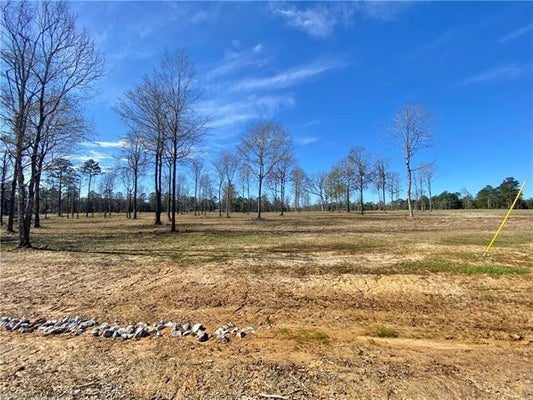 0 SOPHIE LANE, DRY PRONG, LA 71423 - Image 737ac60df7a9d0f7b8ad9d7c6bc42017/3905593120
