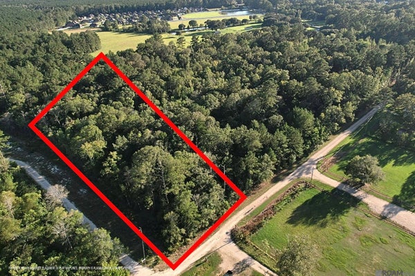 LEDOUX LN, DENHAM SPRINGS, LA 70726 - Image 7d671bb868cd06a97e9ee9d52b56e8ef/2397752748