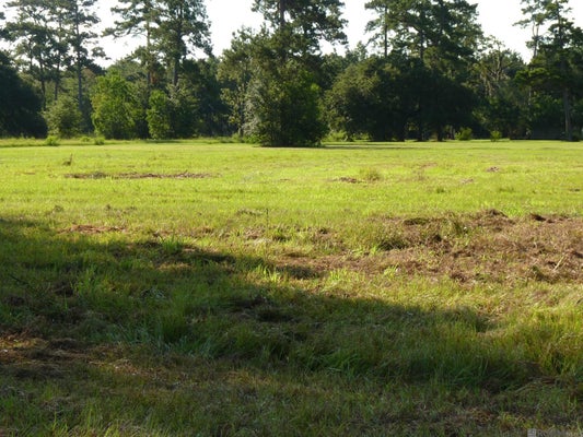 LOT 7 LYNDA, KILLIAN, LA 70462 - Image 801544ccbe6a96a845cdfec2c52fb3e6/596049074