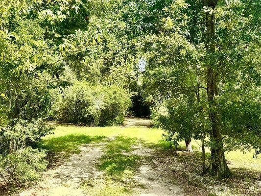 707 COPAL ST, MANDEVILLE, LA 70448 - Image 8cbcb4c185733db97f8dd8278cd366a5/934459639