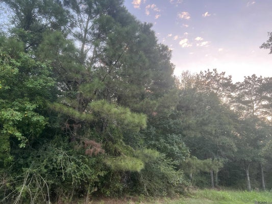 LOT 6-A-3 HWY 10, CLINTON, LA 70722 - Image 8f95e599ef5e0b8cebabde0ec09f569e/2913436499