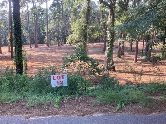 0 AMELIA LOT 12 LANE, BOYCE, LA 71409 - Image 9053c3d230fc0b42d6eb5a18cd3d00c8/2293804549