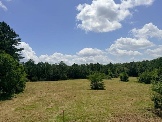 1916 BAYOU MARIA ROAD, PINEVILLE, LA 71360 - Image 9ad3c9a23cfdd648d8f1d0d42dec59ea/2659783340