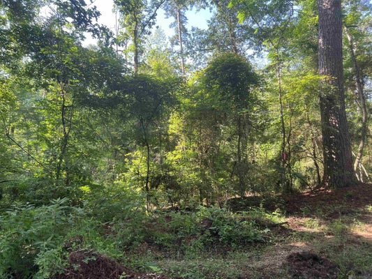 LOT 2 HEPZIBAH RD, CLINTON, LA 70722 - Image abfc4bc3de2aa010cb8529b56cd37fb6/3968233791