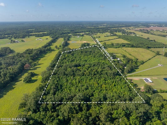 1 HEARD SYLVESTER ROAD, WASHINGTON, LA 70589 - Image aed6caadd1dc06badcd6ba136d6865bf/3742285647