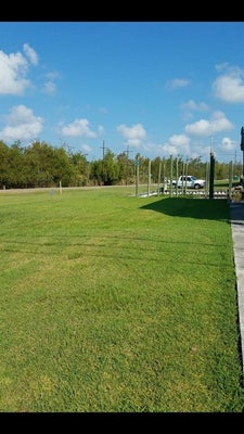 4990 KAYLEE ST, BARATARIA, LA 70036 - Image b9476d1fbf0d914cb6cec8f5cae3558a/2042477902