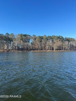 LOT 10 RAMSEY RD, CHATHAM, LA 71226 - Image bc38b32699e4c8eadc73d19fddb4e4ab/2688196557