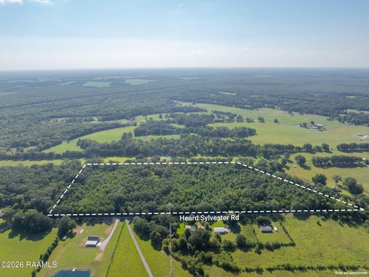 HEARD SYLVESTER ROAD, WASHINGTON, LA 70589 - Image bf4adef95fbc0feabf61ebf7085aa804/1774971344